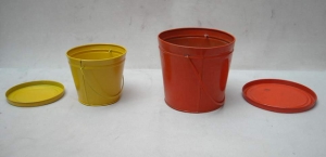 Manufacturers Exporters and Wholesale Suppliers of BUCKET Wid Lid 4 X 4.5 Moradabad Uttar Pradesh